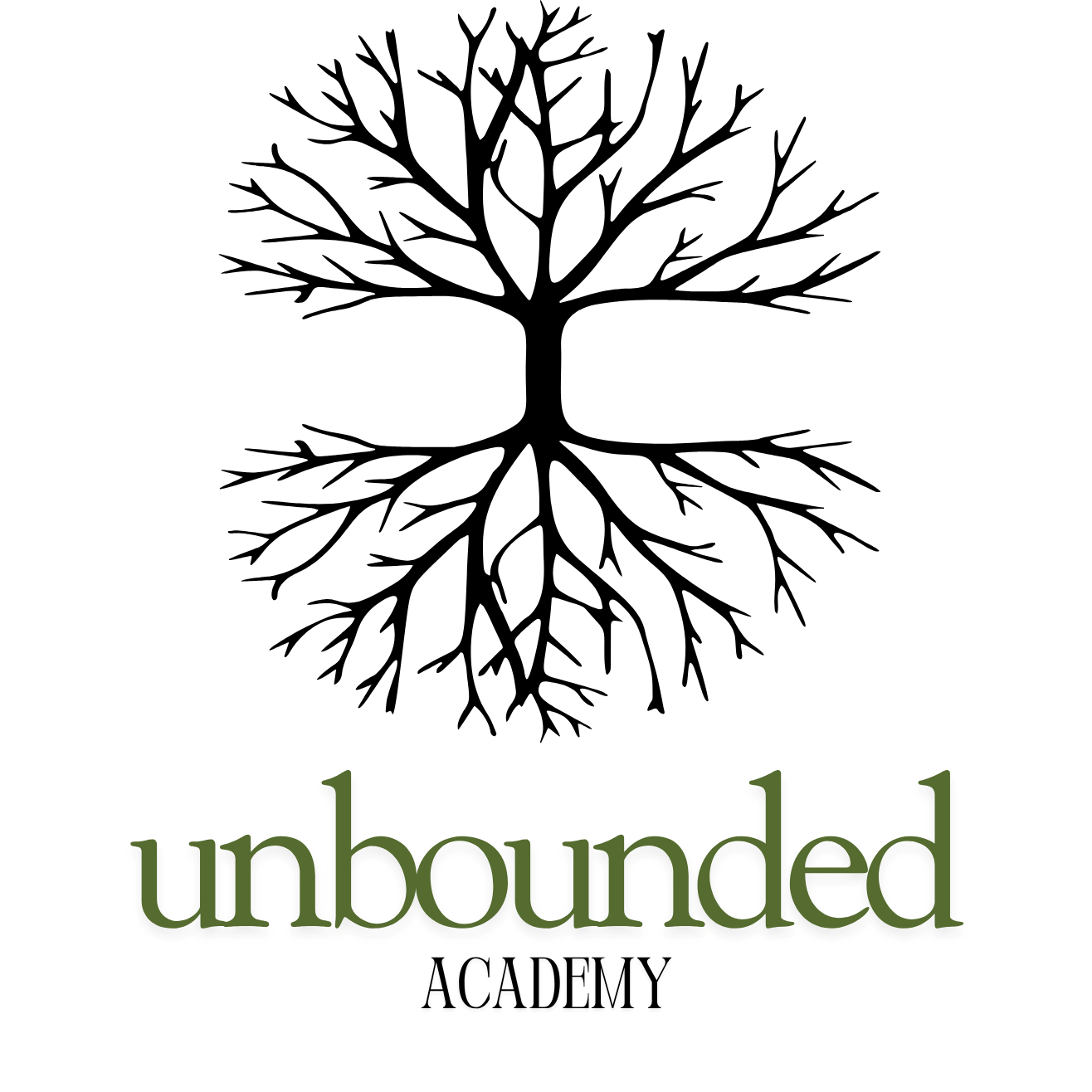 Unbounded Academy